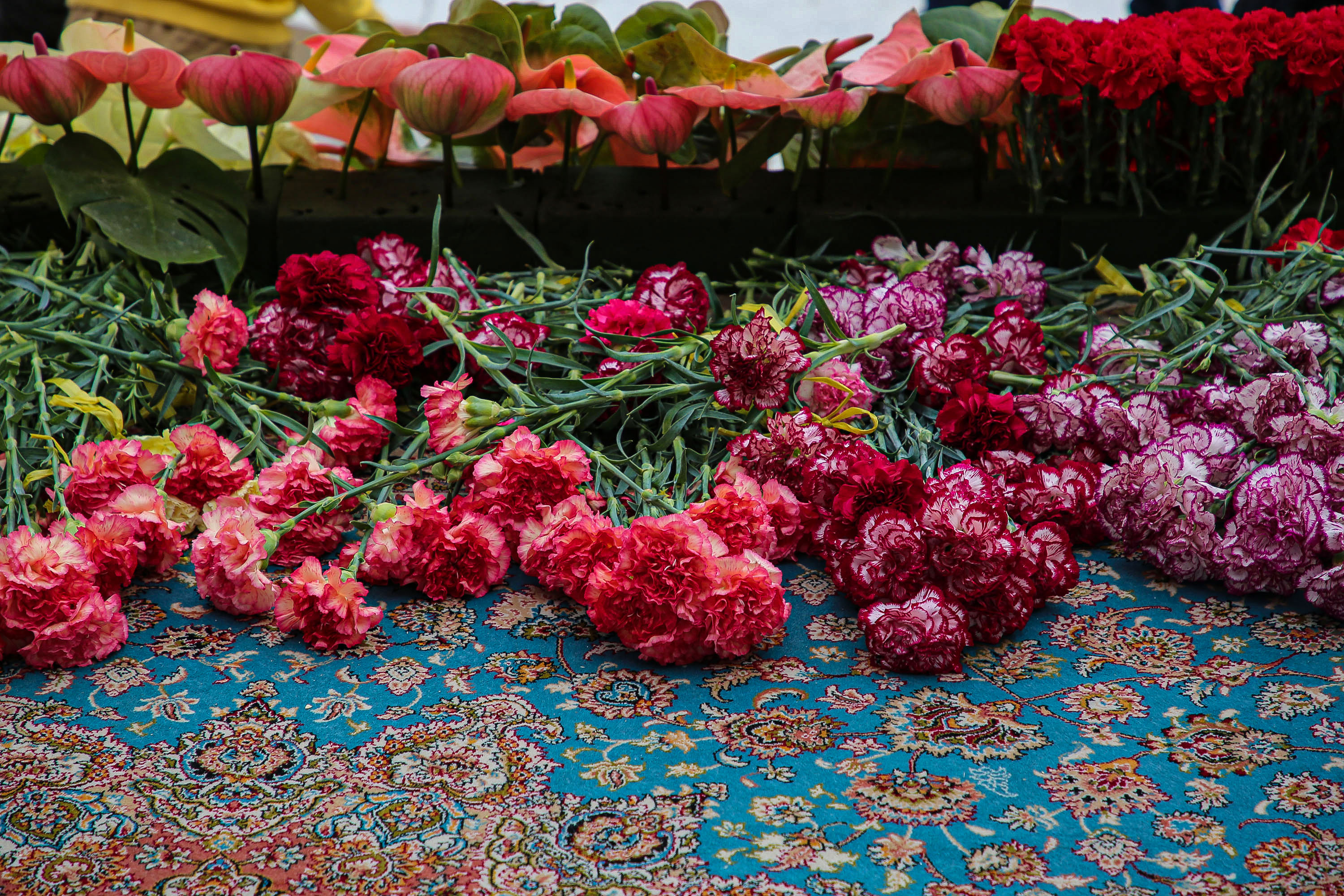 تصاویر گل‌آرایی مسجد مقدس جمکران در نیمه شعبان